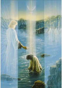 53673190_19172184_2233