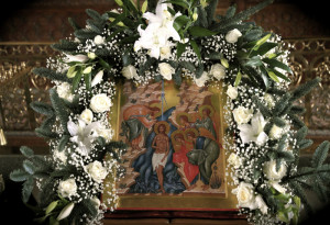 d88b5d1a0d7a9ed42bea3bcf325c3d8b